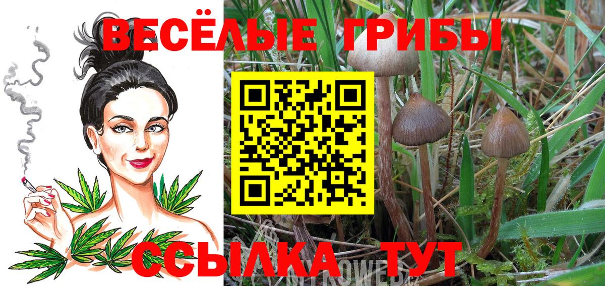 Подольск  Псилоцибиновые грибы Magic Shrooms  Галлюциногенные грибы Cubensis  Вход с VPN 